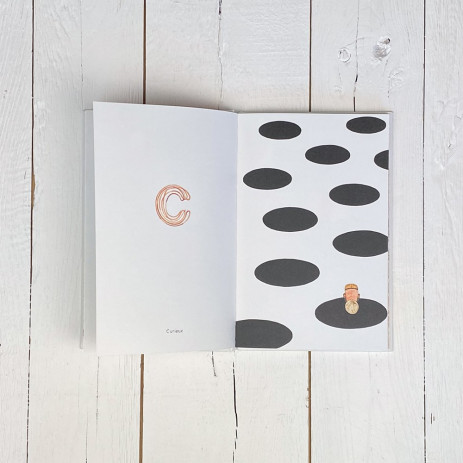 Libro Abecedario de las emociones - Libros 0-3 años