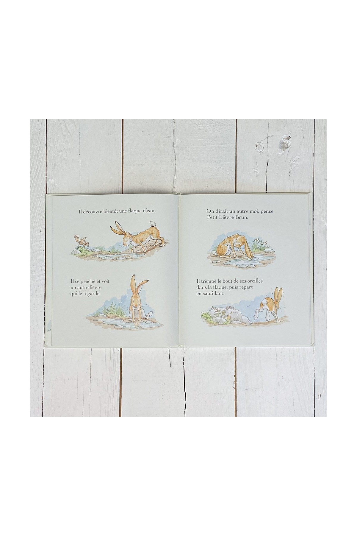 Libro ¿Quieres ser mi amigo? - Libros 3-8 años