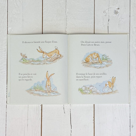 Libro ¿Quieres ser mi amigo? - Libros 3-8 años