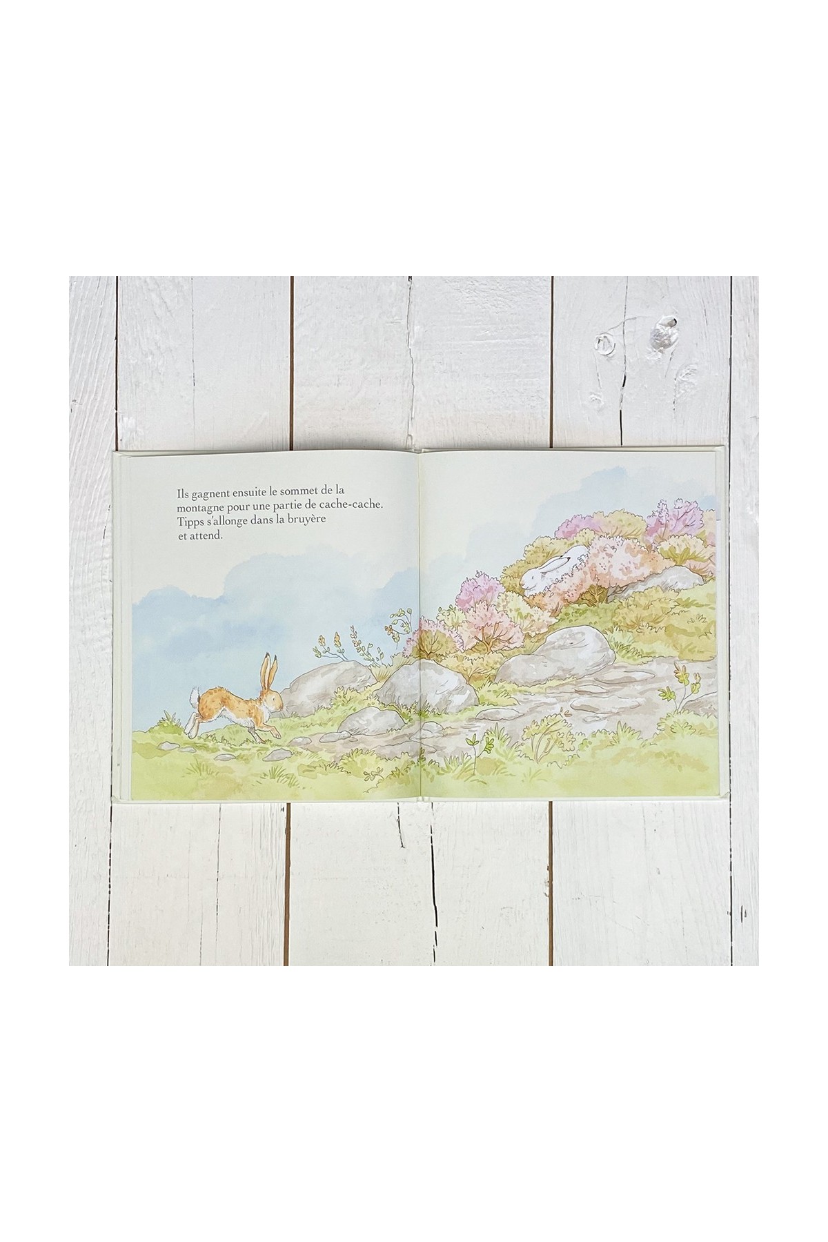 Libro ¿Quieres ser mi amigo? - Libros 3-8 años