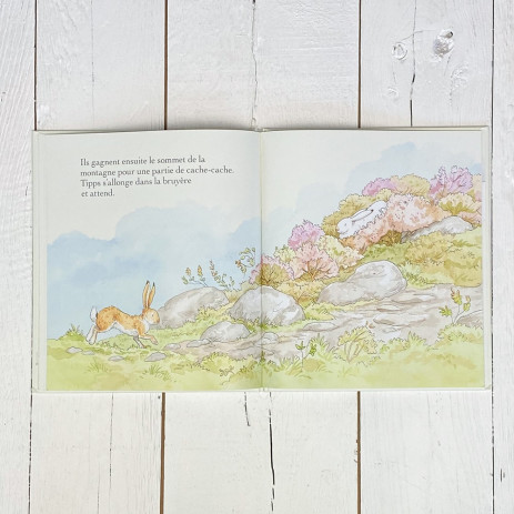 Libro ¿Quieres ser mi amigo? - Libros 3-8 años