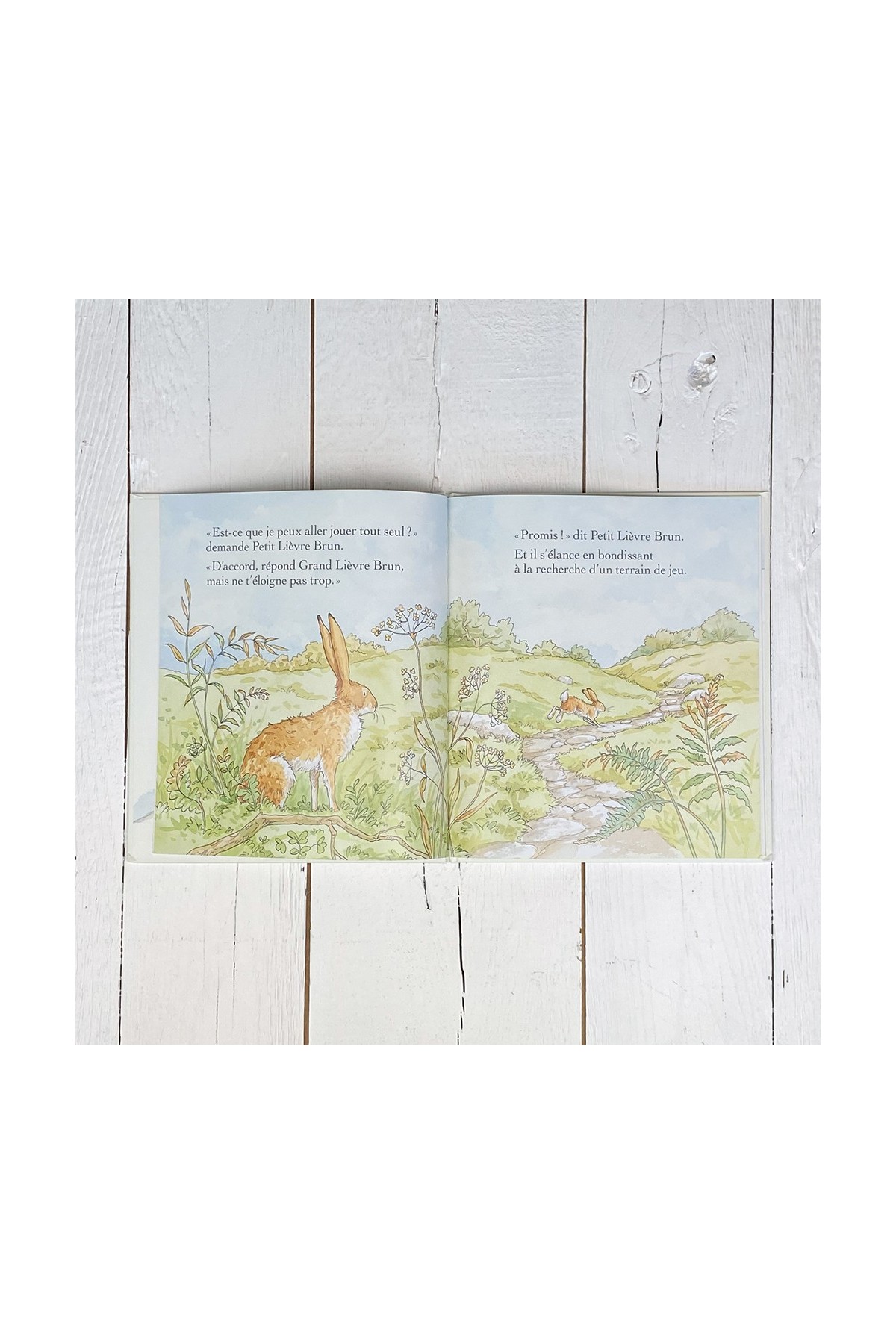 Libro ¿Quieres ser mi amigo? - Libros 3-8 años