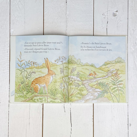 Libro ¿Quieres ser mi amigo? - Libros 3-8 años