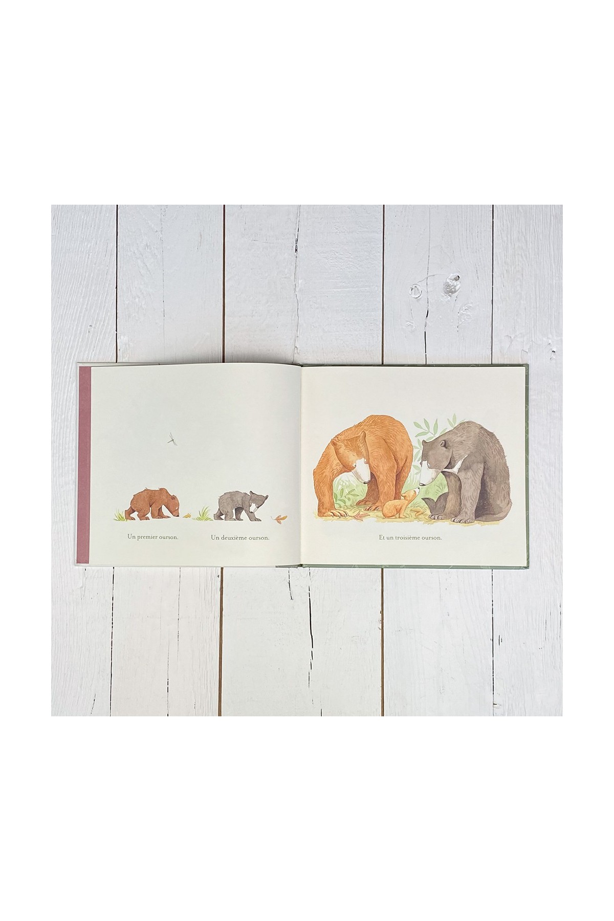 Libro Todos vosotros sois mis preferidos - Libros 3-8 años