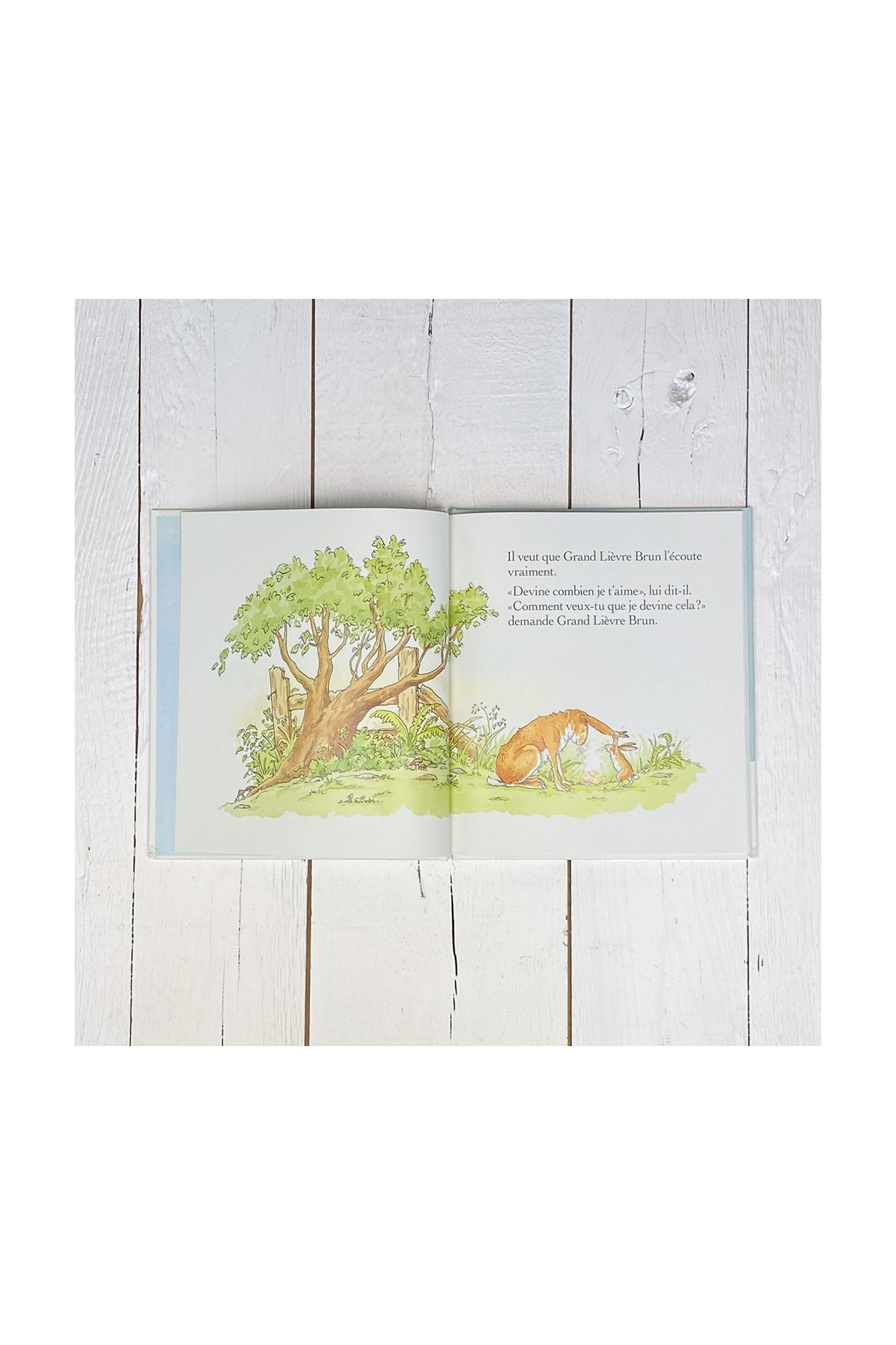Libro Adivina cuánto te quiero - Libros 3-8 años