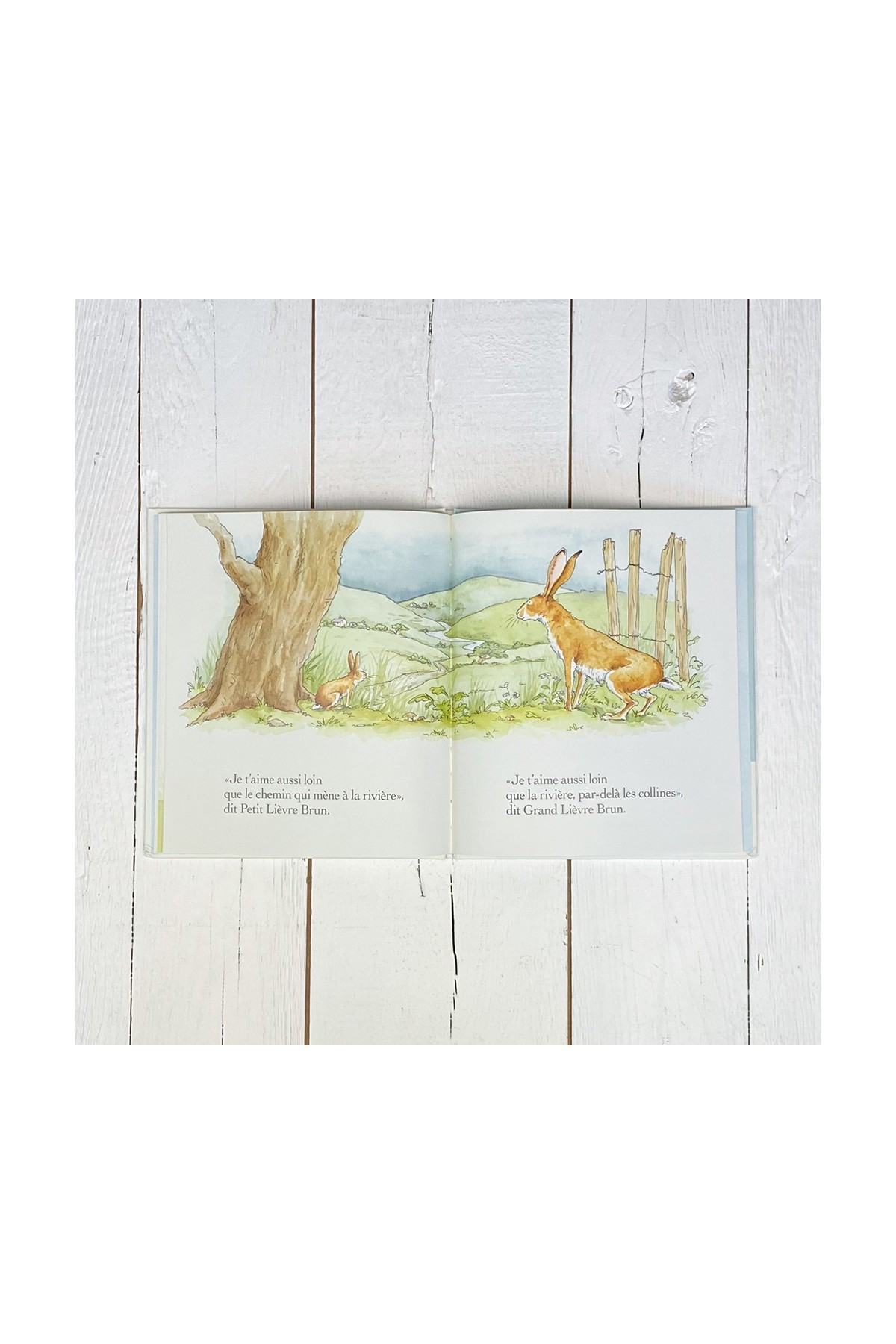 Libro Adivina cuánto te quiero - Libros 3-8 años