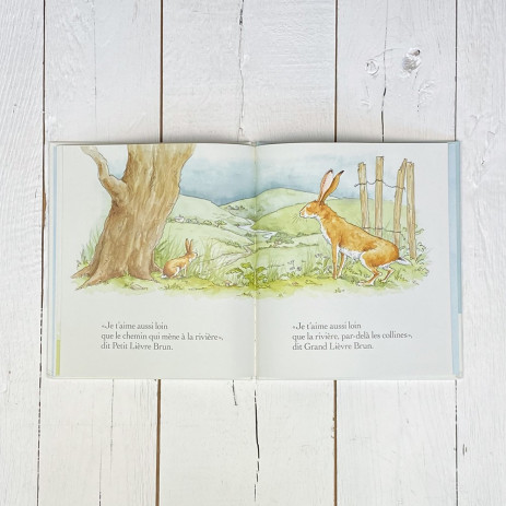 Libro Adivina cuánto te quiero - Libros 3-8 años
