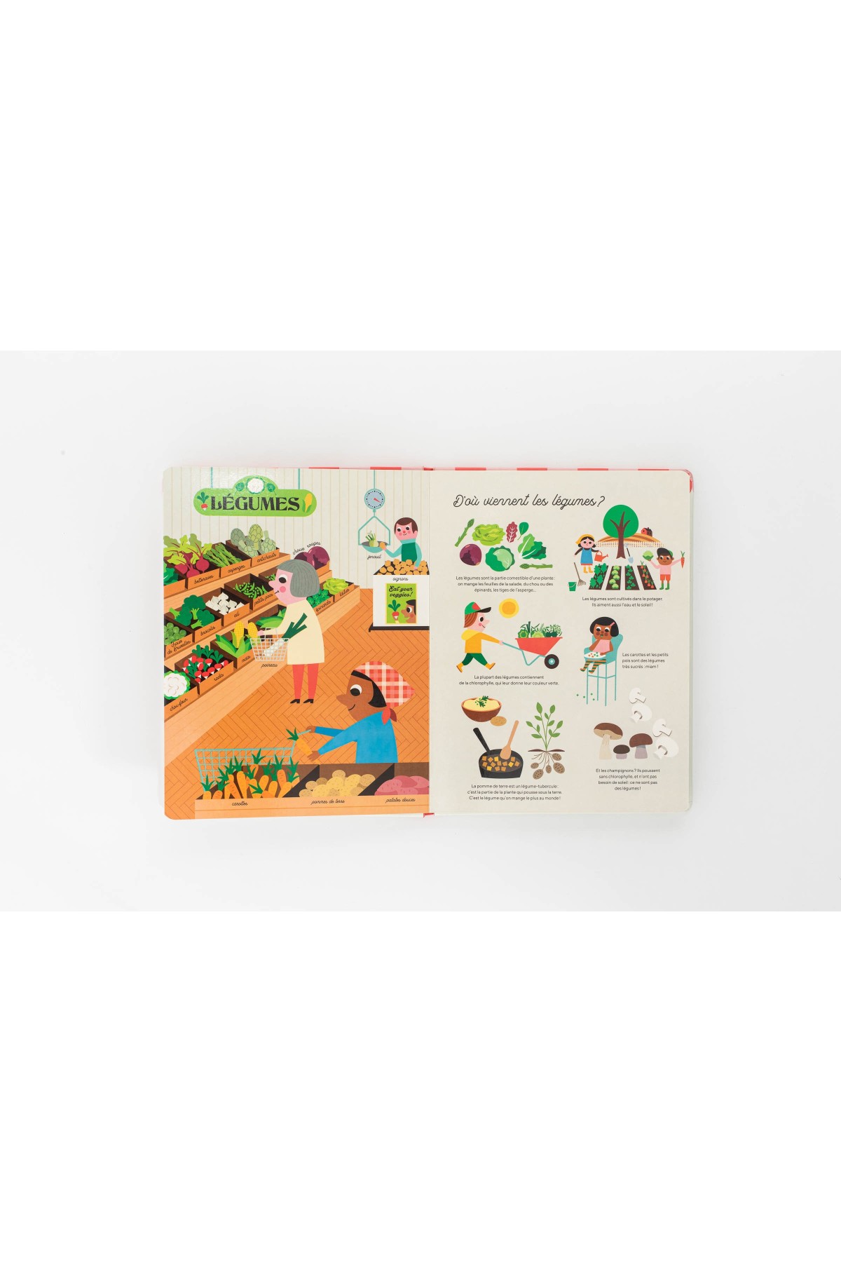 Libro Mi gran colmado - Libros 3-8 años