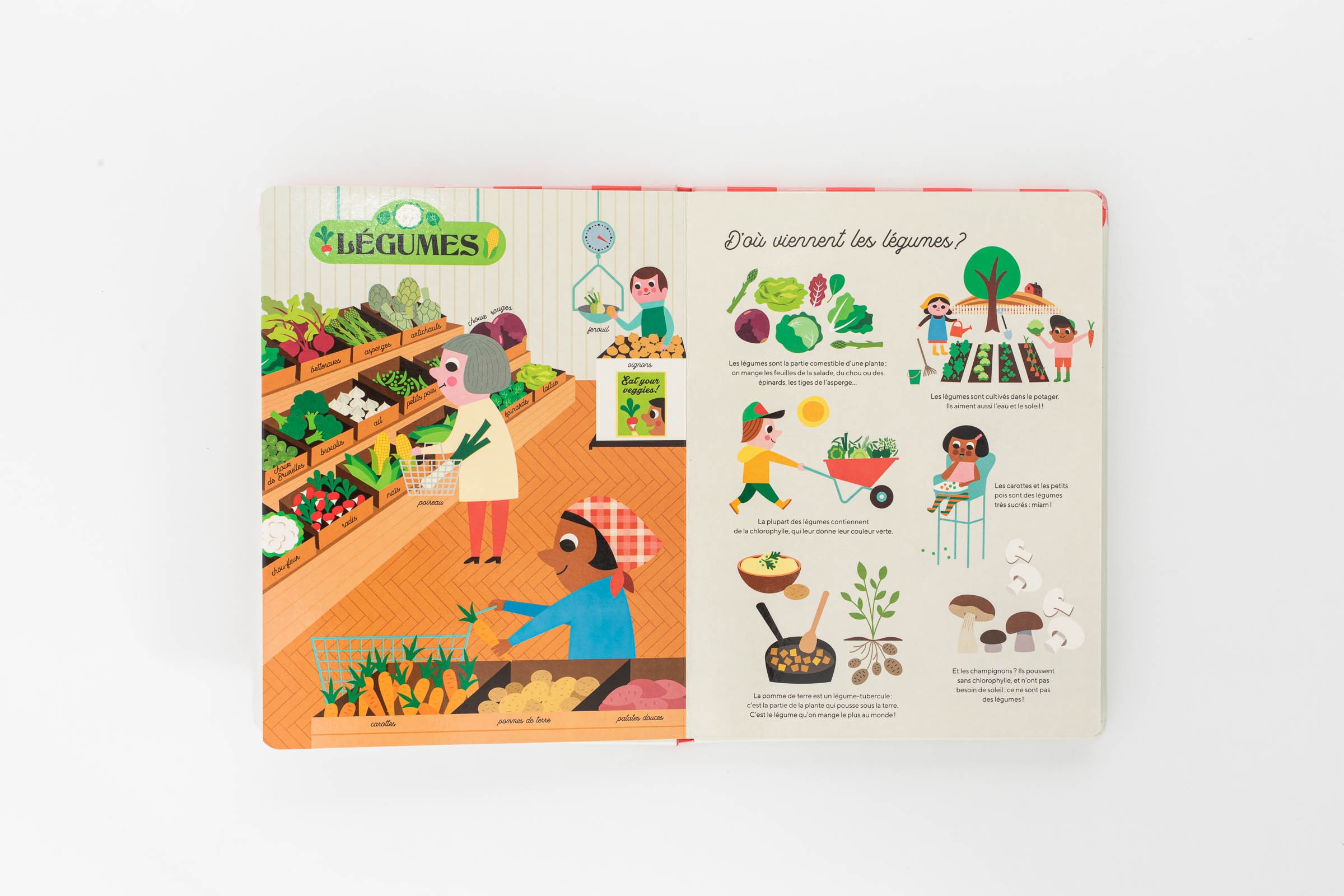 Libro Mi gran colmado - Libros 3-8 años