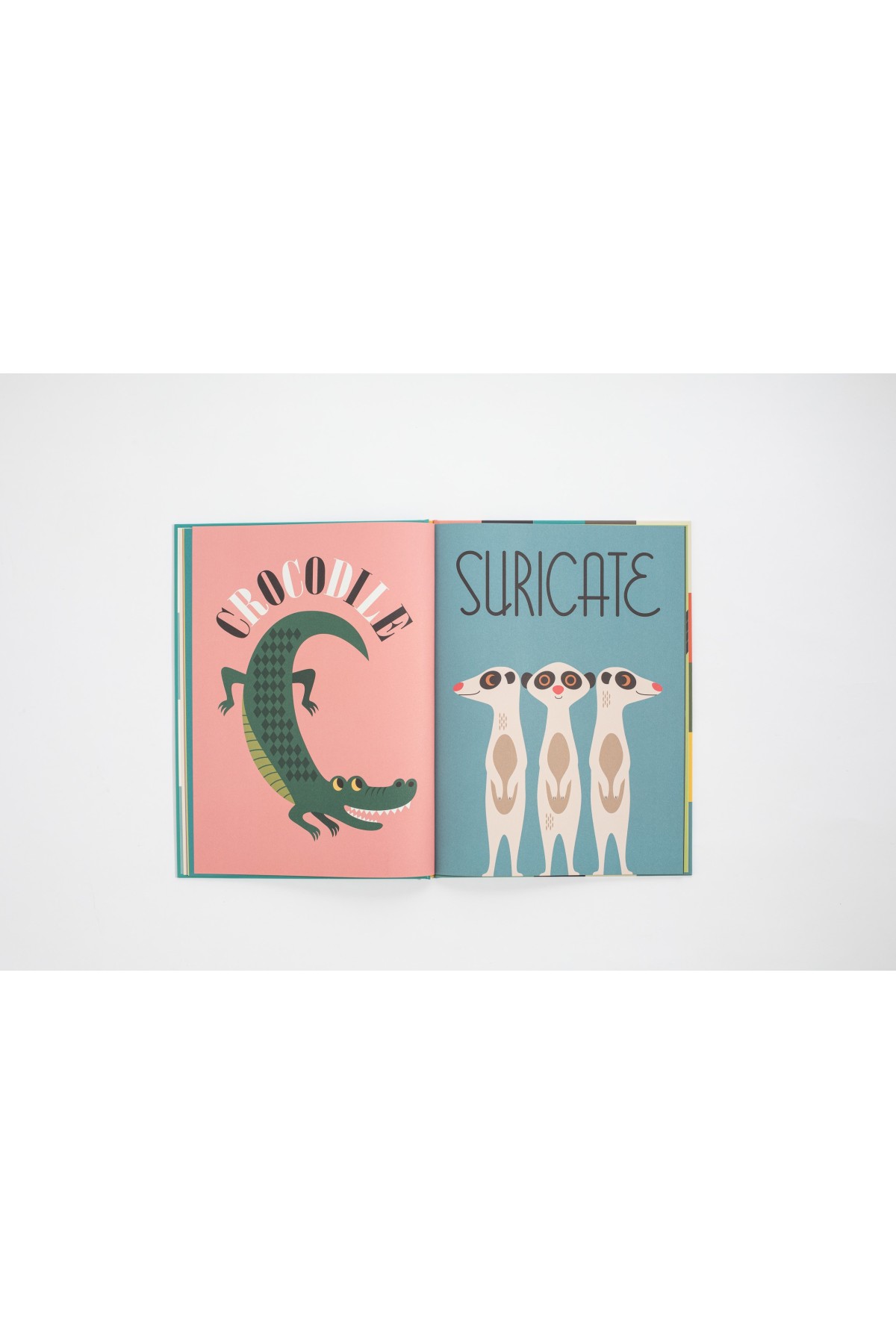 Libro Animales - Libros 0-3 años