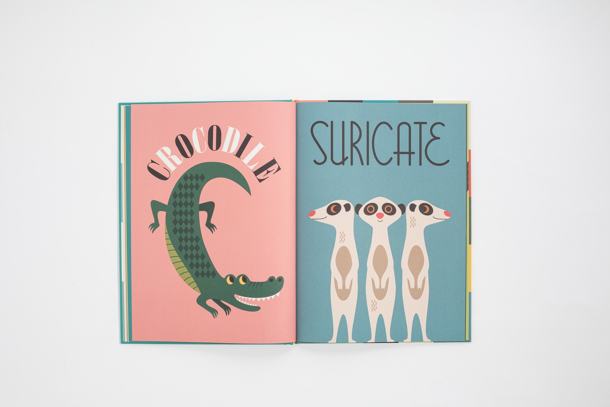 Libro Animales - Libros 0-3 años