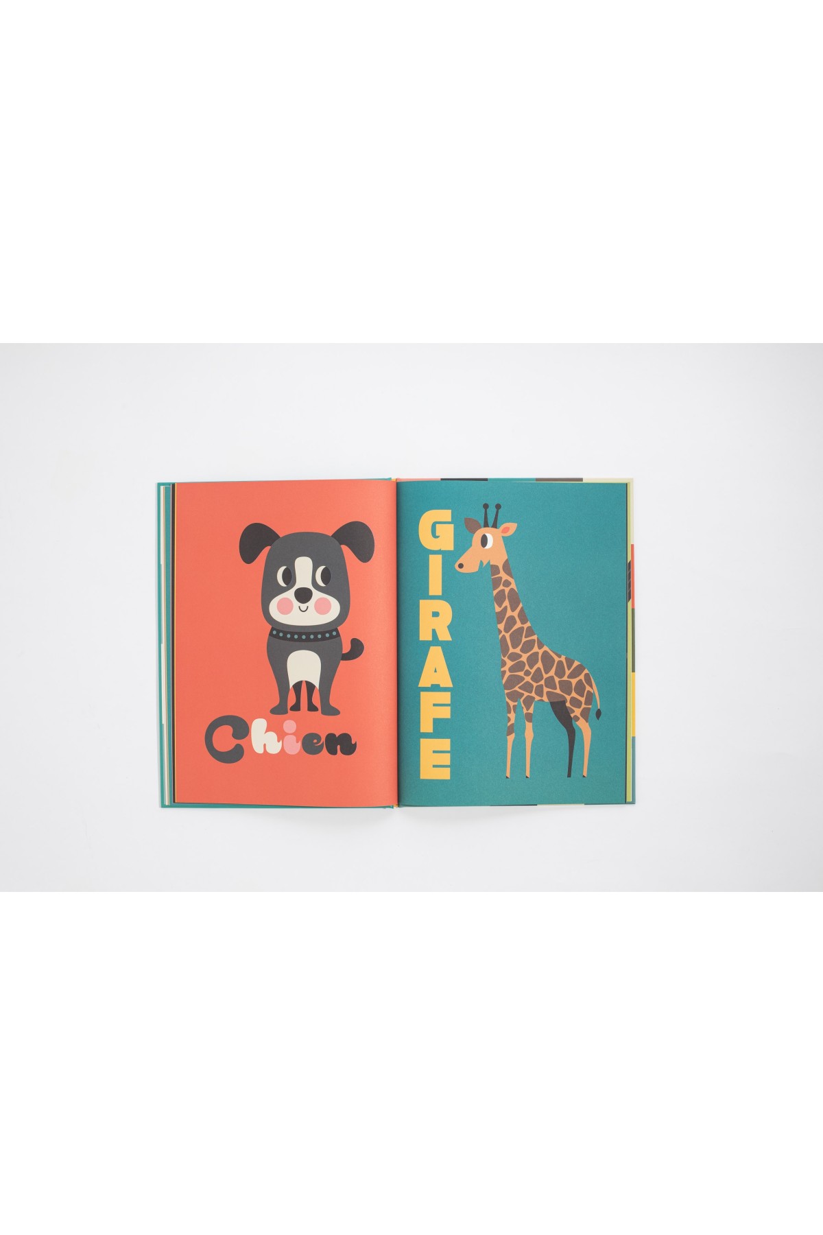 Libro Animales - Libros 0-3 años