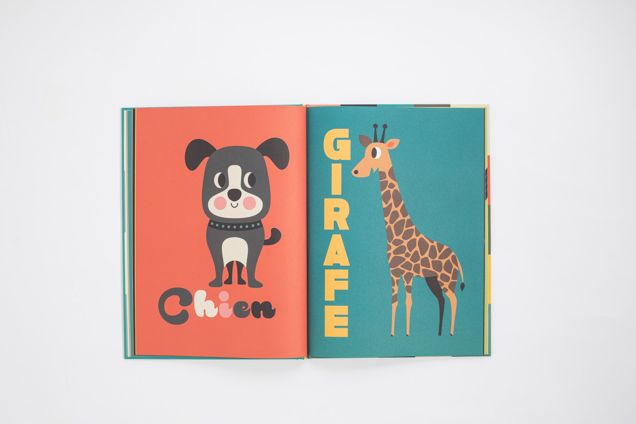 Libro Animales - Libros 0-3 años