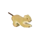 Image Option