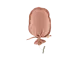 Image Option