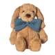 Image Option