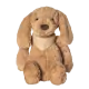 Galleta