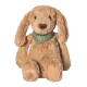 Oliva
