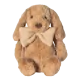 Galleta