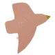 Palo de rosa