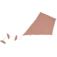Palo de rosa