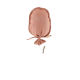 Palo de rosa