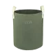 Oliva