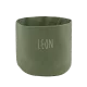 Oliva