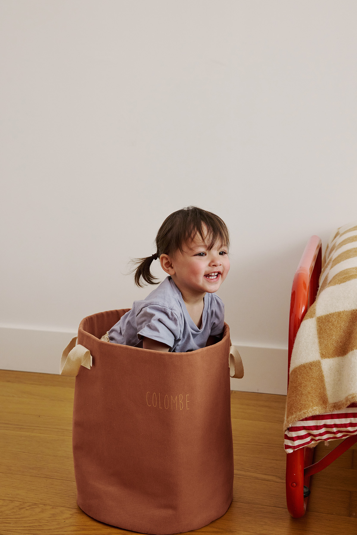 Petit Picotin - Roger le panier à jouets