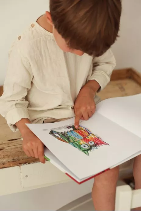 Libro El monstruo de los colores va al colegio - Libros 3-8 años