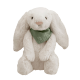 Oliva
