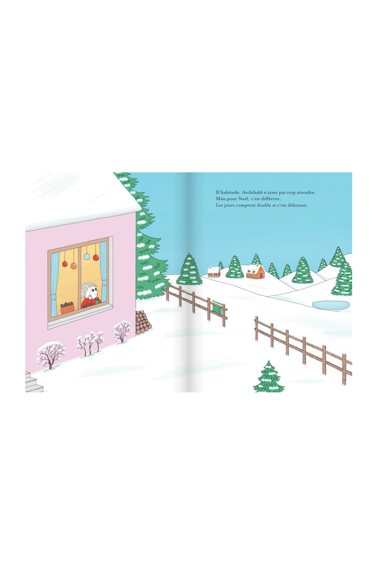 livre enfant cadeau noël - le noël d'archibald