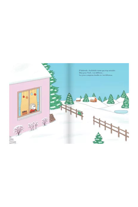 livre enfant cadeau noël - le noël d'archibald