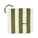 Kiwi Stripes