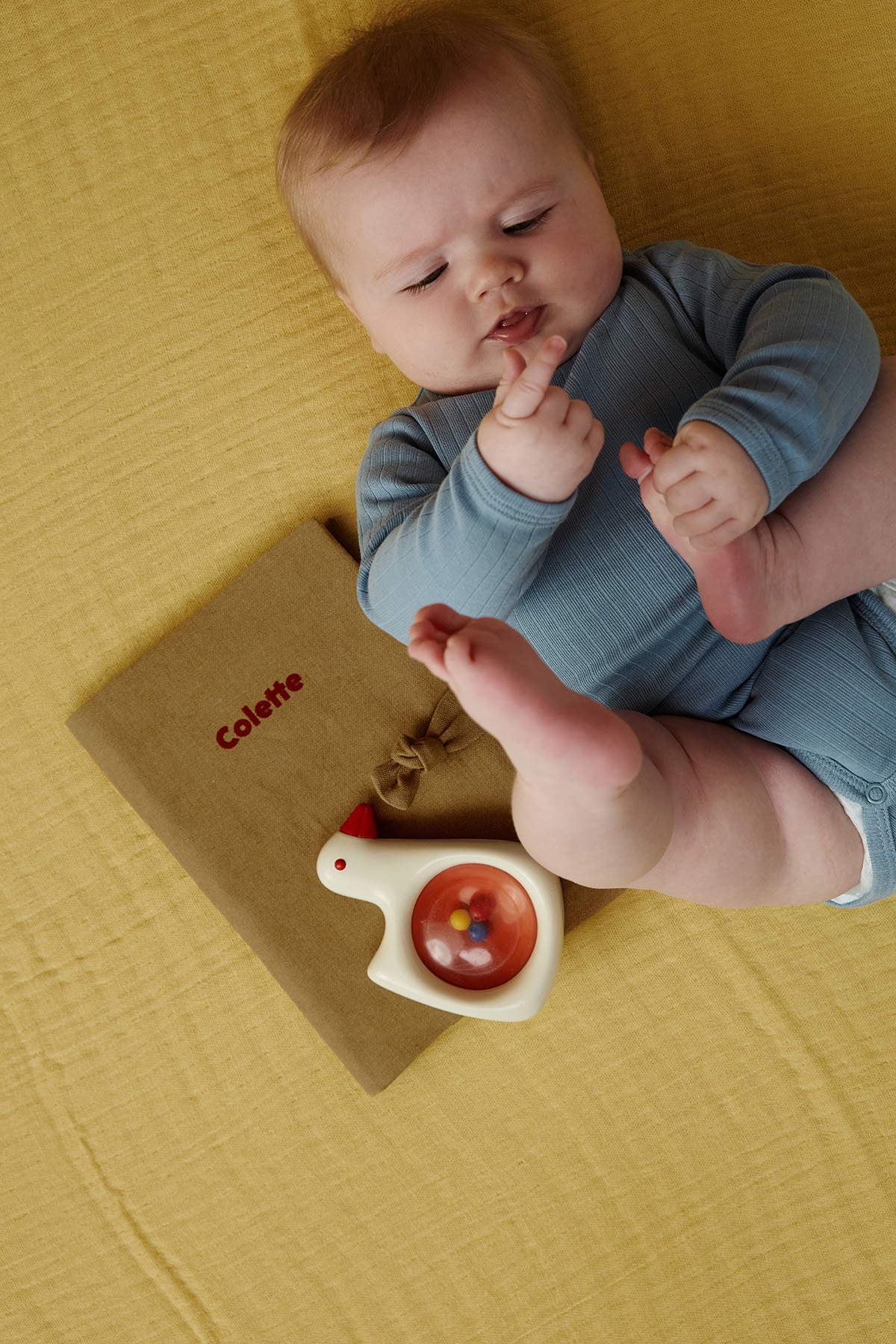 Barnabé le protège carnet de santé (Petit Picotin) - Image 2