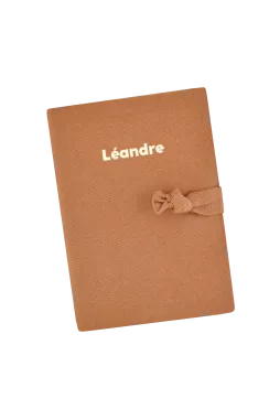 protector de libreta de salud de lino personalizado - idea de regalo de nacimiento personalizado