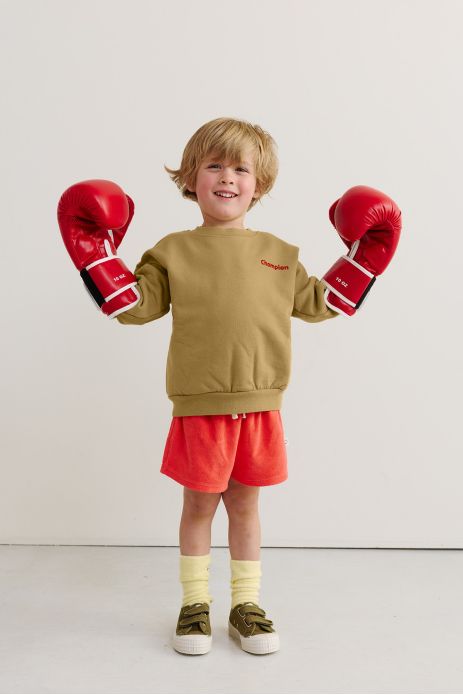 lovely unisex plain cotton children's sweatshirt, personalizable