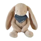 Mouse blue