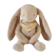 Biscuit