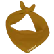 Ocre