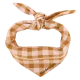 Ochre-Ecru Gingham