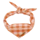 Coral-Ecru Gingham