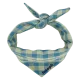 Blue-Almond Green Gingham