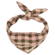 Khaki-Pink Gingham
