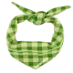 Green-Light Green Gingham