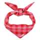 Pink-Red Gingham