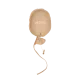 Biscuit