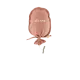 Palo de rosa