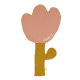 Image Option