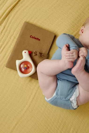 protège carnet de santé en lin personnalisé
